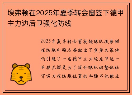 埃弗顿在2025年夏季转会窗签下德甲主力边后卫强化防线